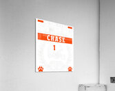 Cincinnati Bengals 33 Acrylic Print