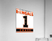 Cincinnati Bengals 37 Acrylic Print