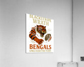 Cincinnati Bengals 39 Acrylic Print