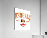 Cincinnati Bengals 41 Acrylic Print