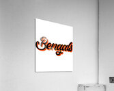 Cincinnati Bengals 3 Acrylic Print