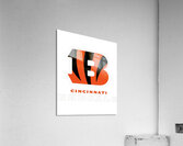 Cincinnati Bengals 8 Acrylic Print