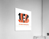 Cincinnati Bengals 46 Acrylic Print