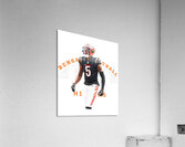 Cincinnati Bengals 47 Acrylic Print