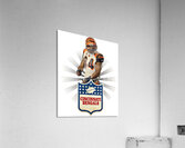 Cincinnati Bengals 3 Acrylic Print