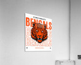 Cincinnati Bengals 5 Acrylic Print