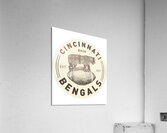 Cincinnati Bengals 7 Acrylic Print
