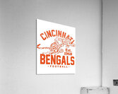 Cincinnati Bengals 8 Acrylic Print