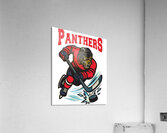 Florida Panthers 6 Acrylic Print
