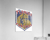 Florida Panthers 13 Acrylic Print