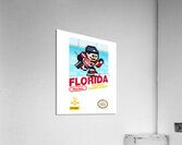 Florida Panthers 24 Acrylic Print