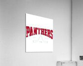 Florida Panthers 34 Acrylic Print