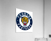 Florida Panthers 36 Acrylic Print