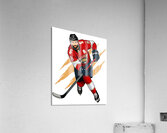 Florida Panthers 48 Acrylic Print