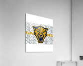 Florida Panthers 10 Acrylic Print