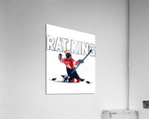 Florida Panthers 14 Acrylic Print
