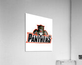 Florida Panthers 15 Acrylic Print