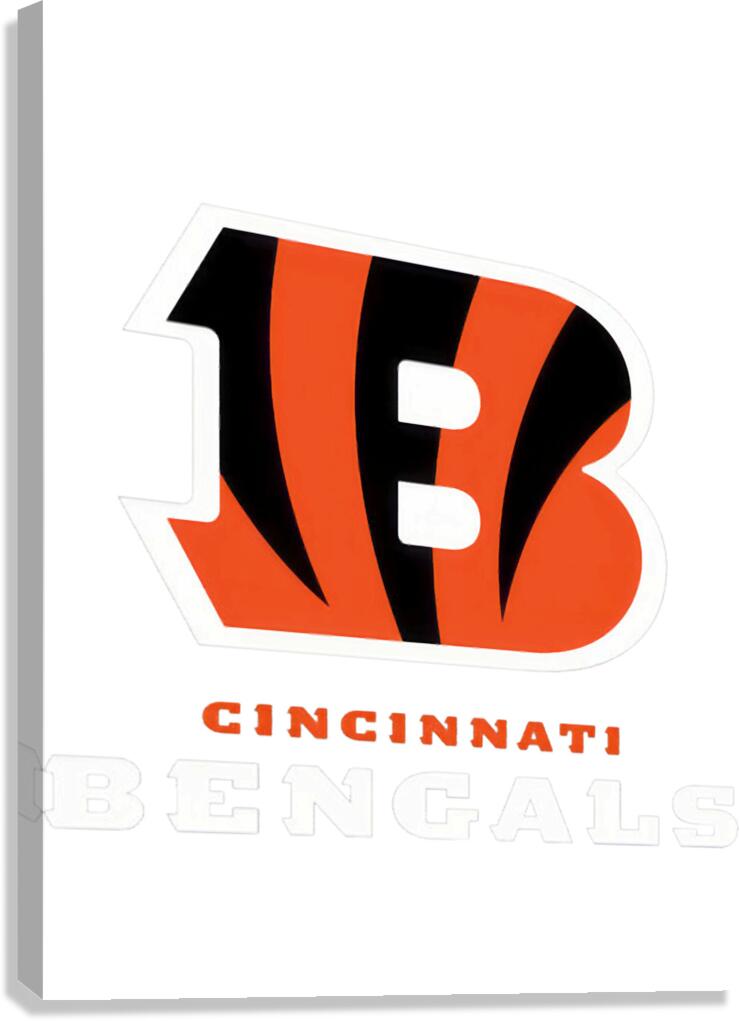 Cincinnati Bengals 46 Canvas Print