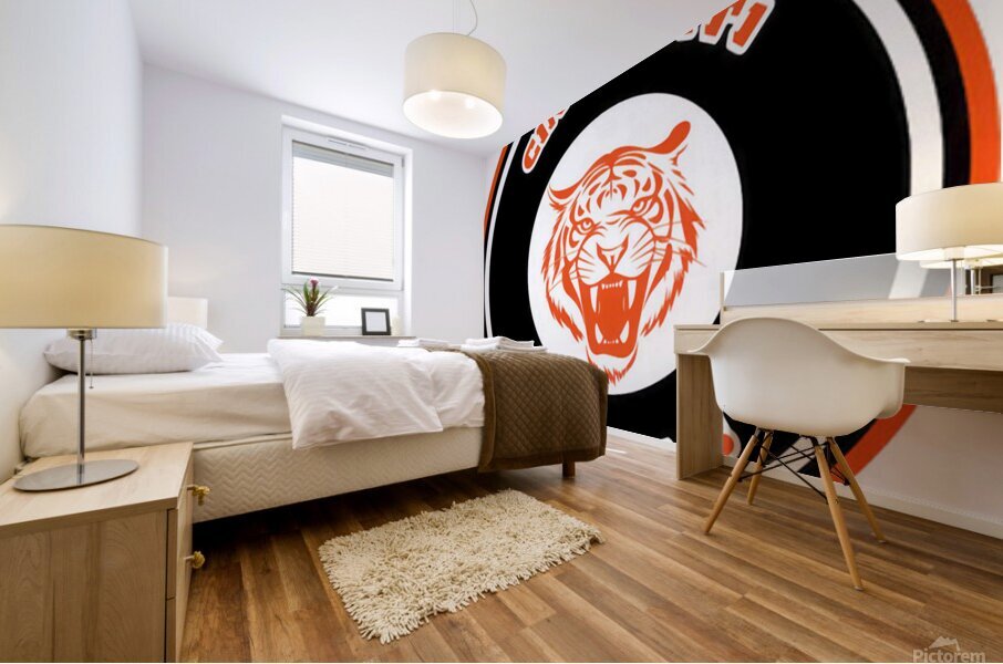Cincinnati Bengals 28 Mural print