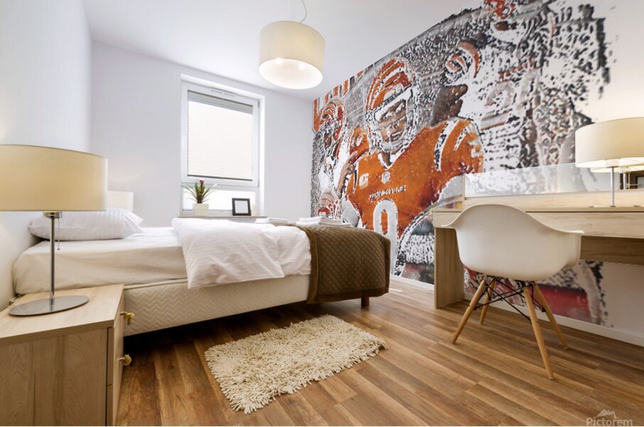 Cincinnati Bengals 48 Mural print