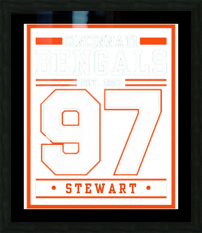 Cincinnati Bengals 3 Picture Frame print