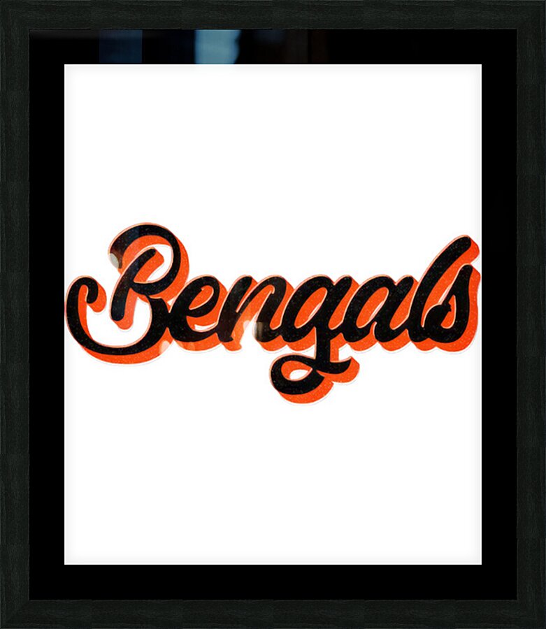 Cincinnati Bengals 3 Picture Frame print