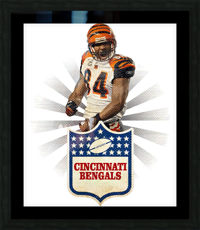 Cincinnati Bengals 3 Picture Frame print