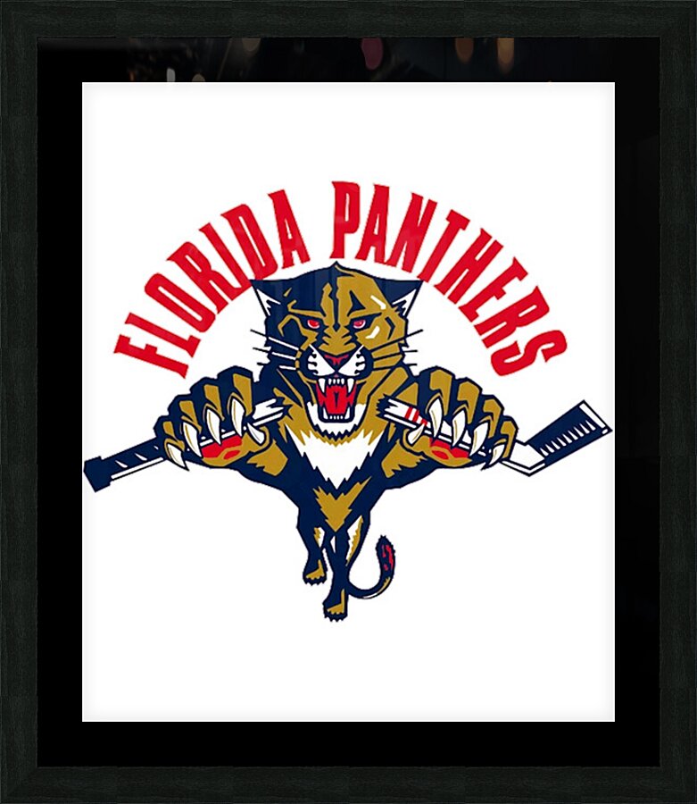 Florida Panthers 3 Picture Frame print