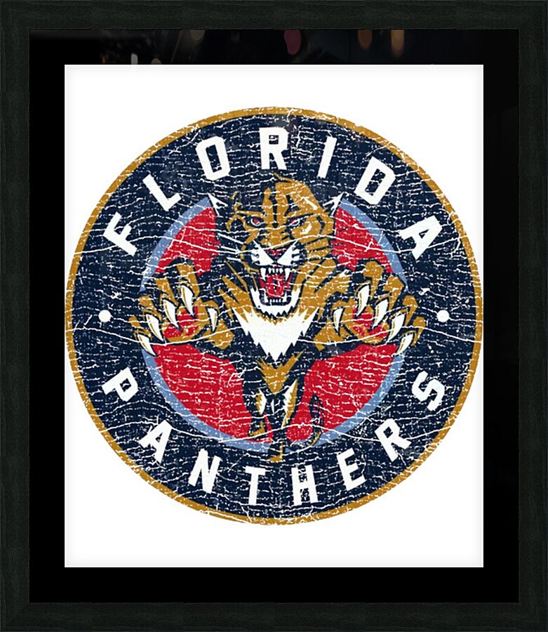 Florida Panthers 20 Picture Frame print