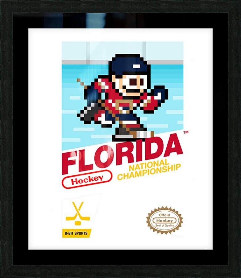 Florida Panthers 24 Picture Frame print