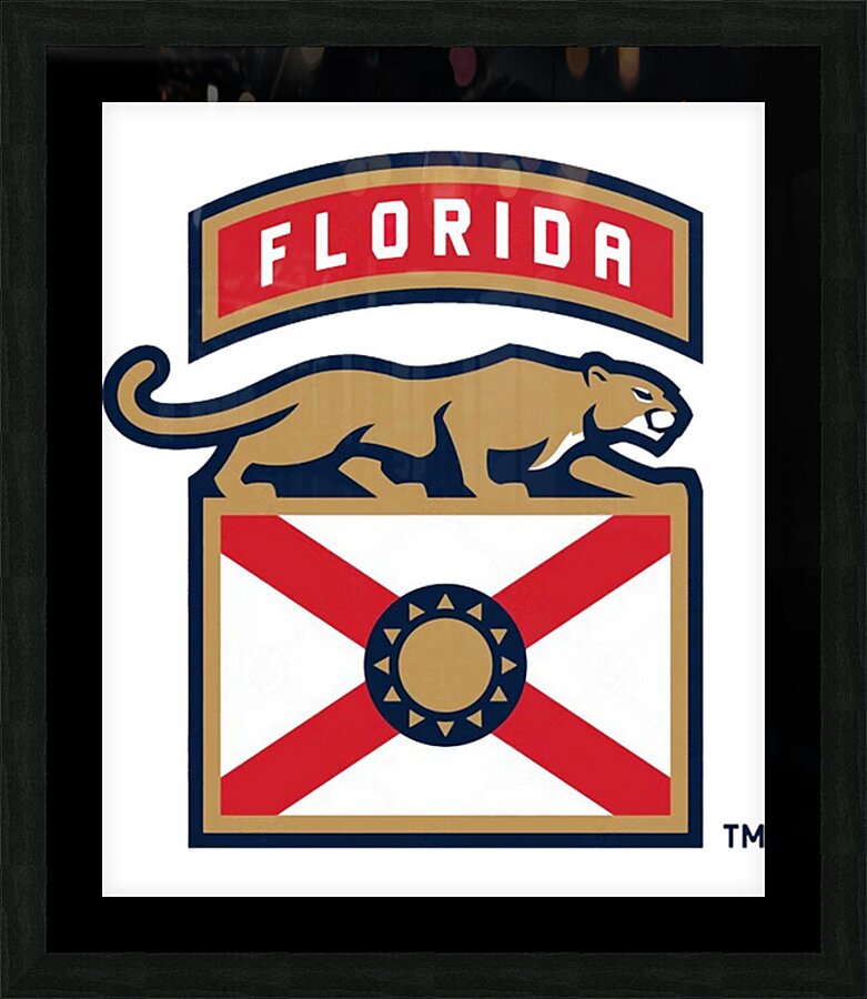Florida Panthers 44 Picture Frame print