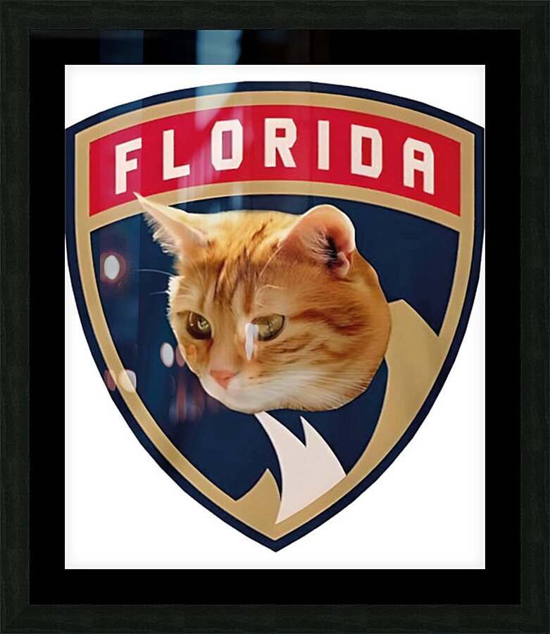 Florida Panthers 1 Picture Frame print