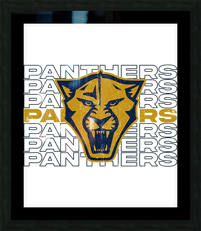 Florida Panthers 10 Picture Frame print