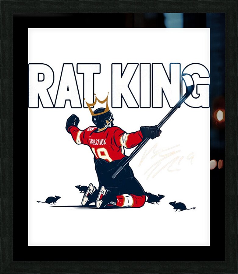 Florida Panthers 14 Picture Frame print