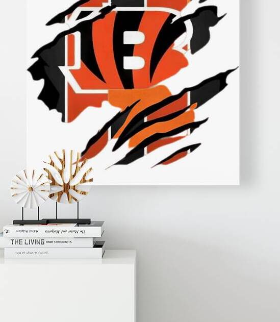 Cincinnati Bengals 6 by RobbinFSingleton