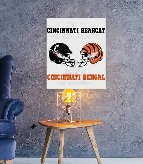 Cincinnati Bengals 16 by RobbinFSingleton