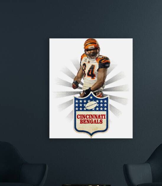 Cincinnati Bengals 3 by RobbinFSingleton