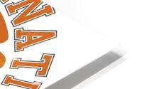 Cincinnati Bengals 37 HD Metal print