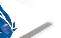 Dallas Mavericks 45 HD Metal print