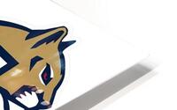 Florida Panthers 23 HD Metal print