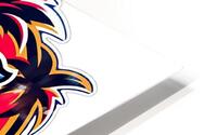 Florida Panthers 39 HD Metal print