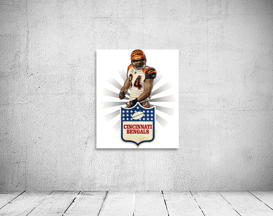 Cincinnati Bengals 3 Wall Preview