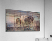 Badlands Buffalo Acrylic Print