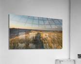 Badlands Trail Acrylic Print