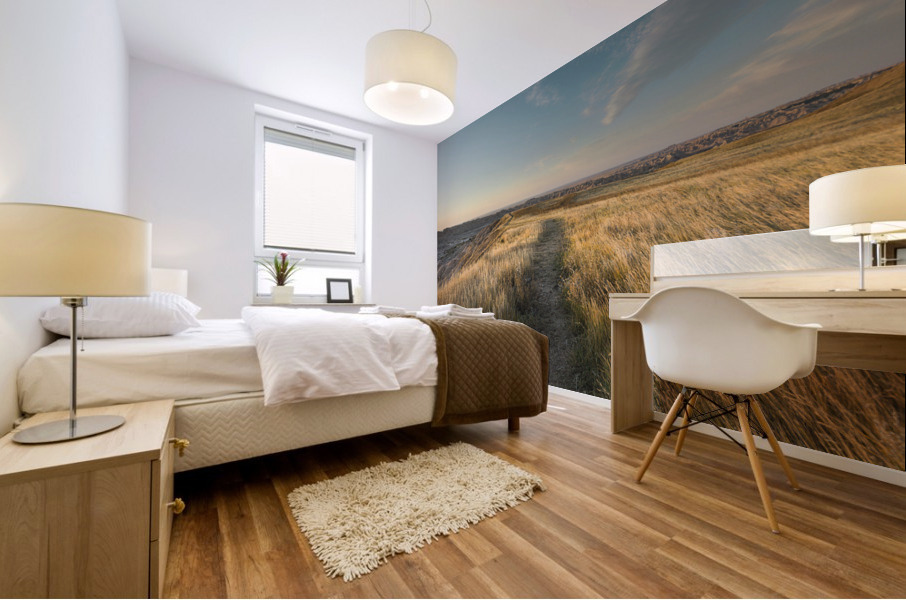 Badlands Trail Mural print
