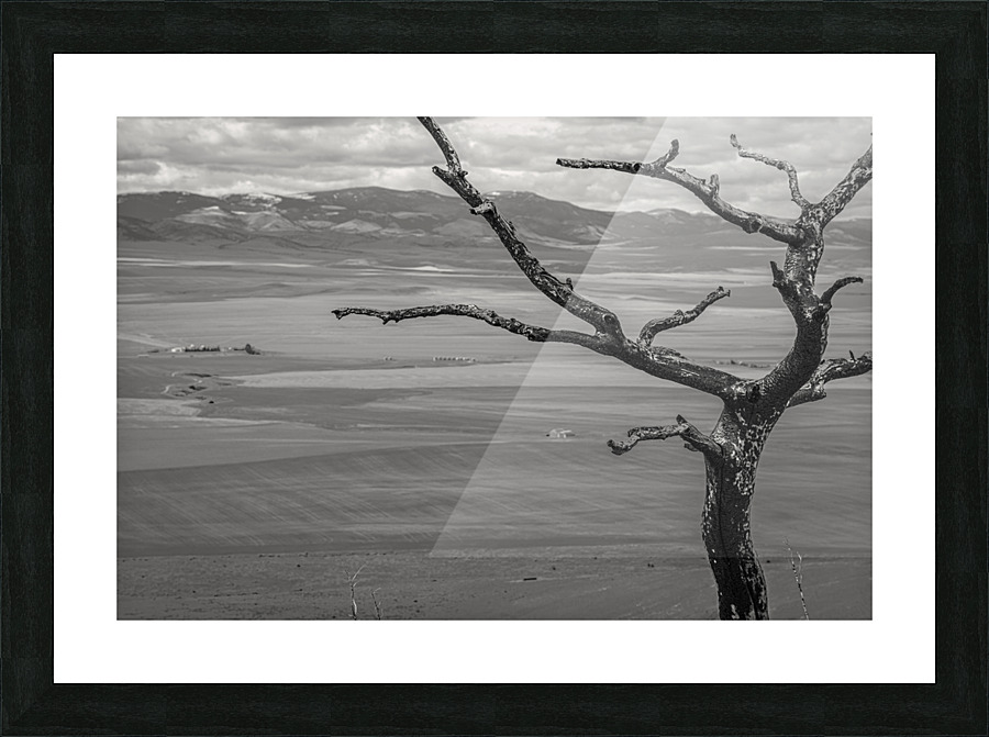 KHC09871 Picture Frame print