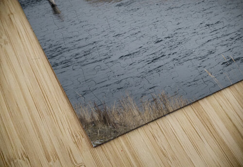 KHC09978 Das Hoth Foto puzzle