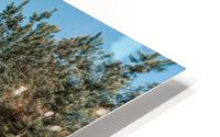 KHC08556 HD Metal print