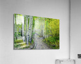 aspen road johnny boyd Acrylic Print