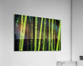 bamboo johnny boyd Acrylic Print